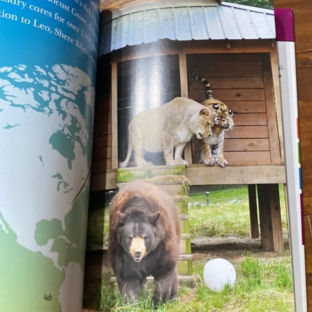 Lion Tiger and Bear Kate Ritchey Hardcover Penguin Level 4 True Animal Story